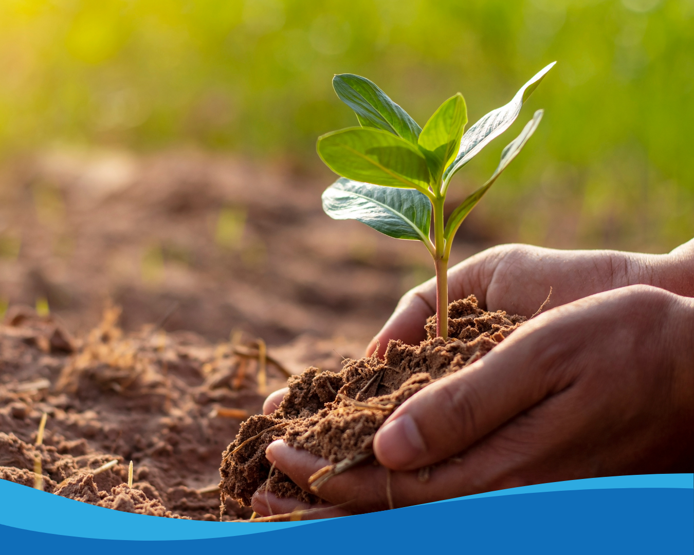 Verhaal Marina_Eindelijk een veilige plek